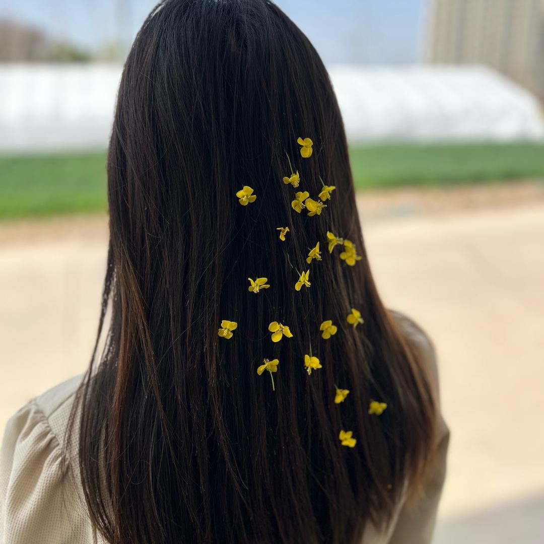 等风来🌱