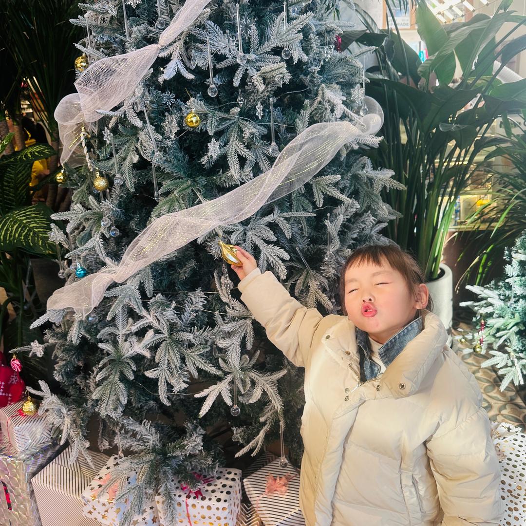 冰糖炖雪梨
