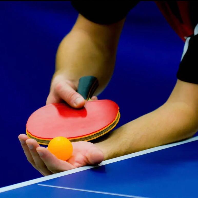红杉乒乓球