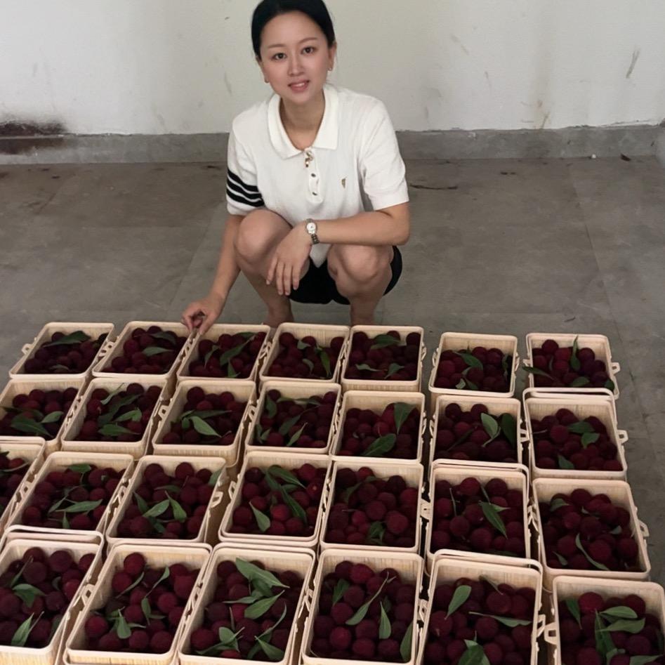 卖东魁杨梅的青田小姐姐小号