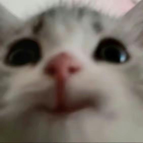六月
