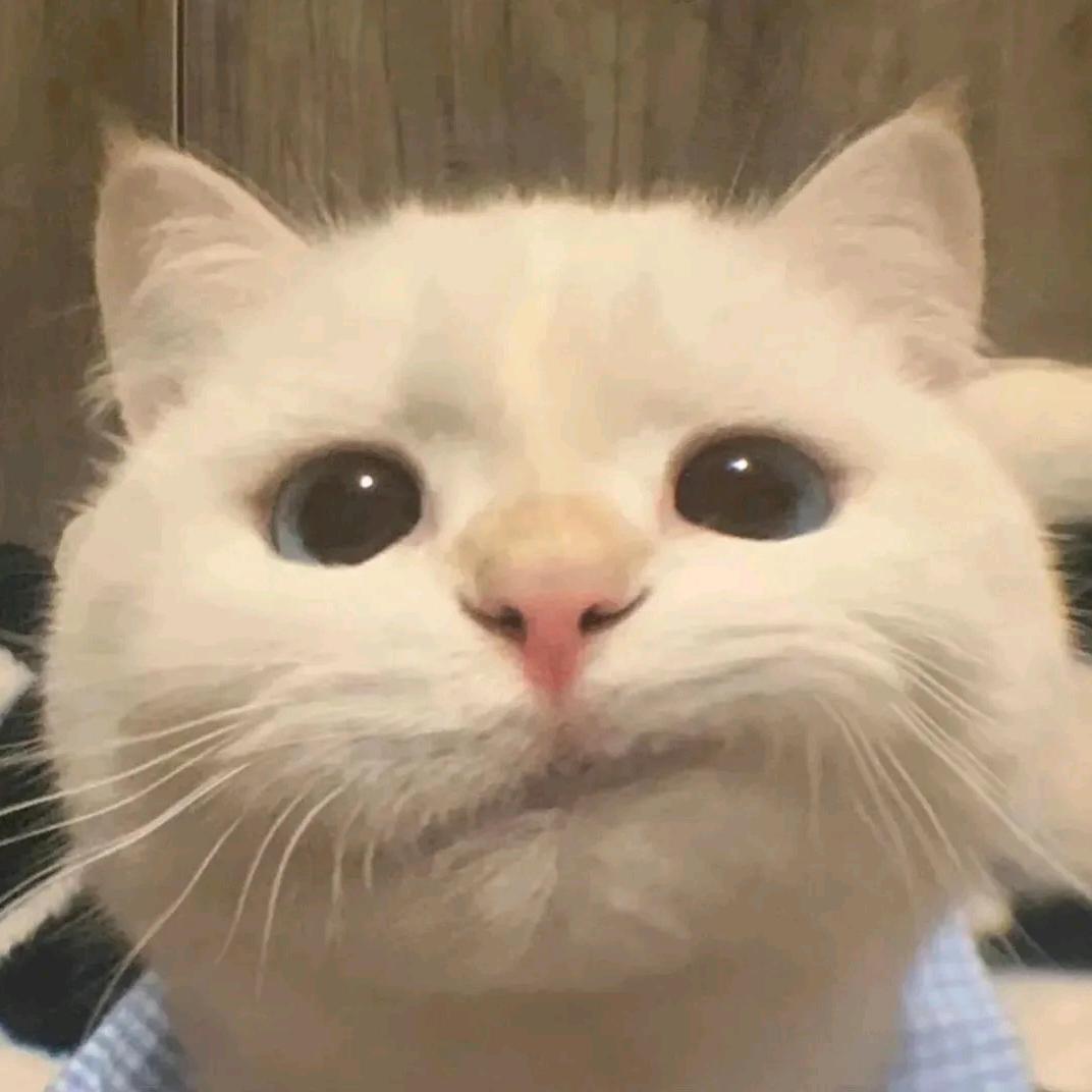 西安第一深情