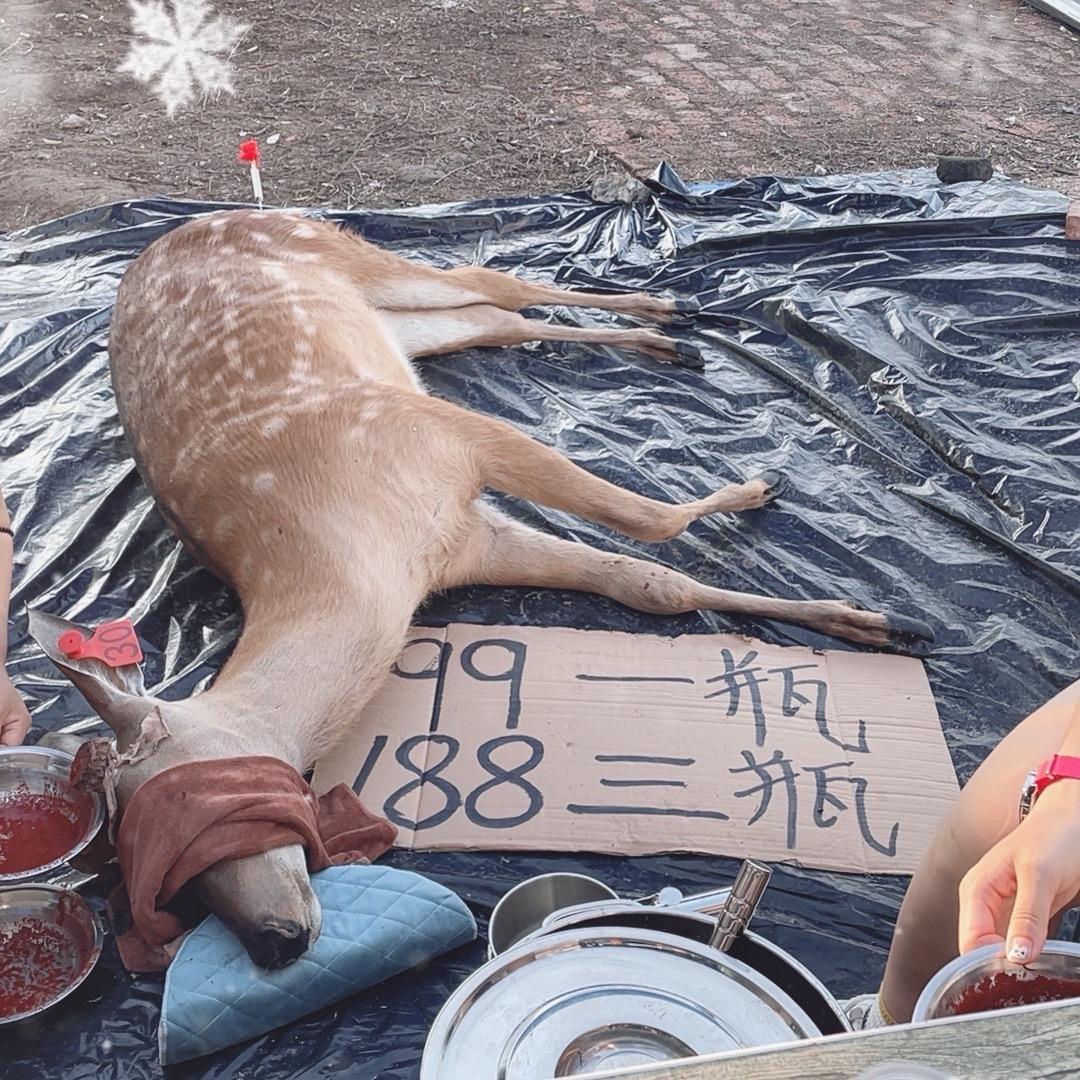 鹿瑞临