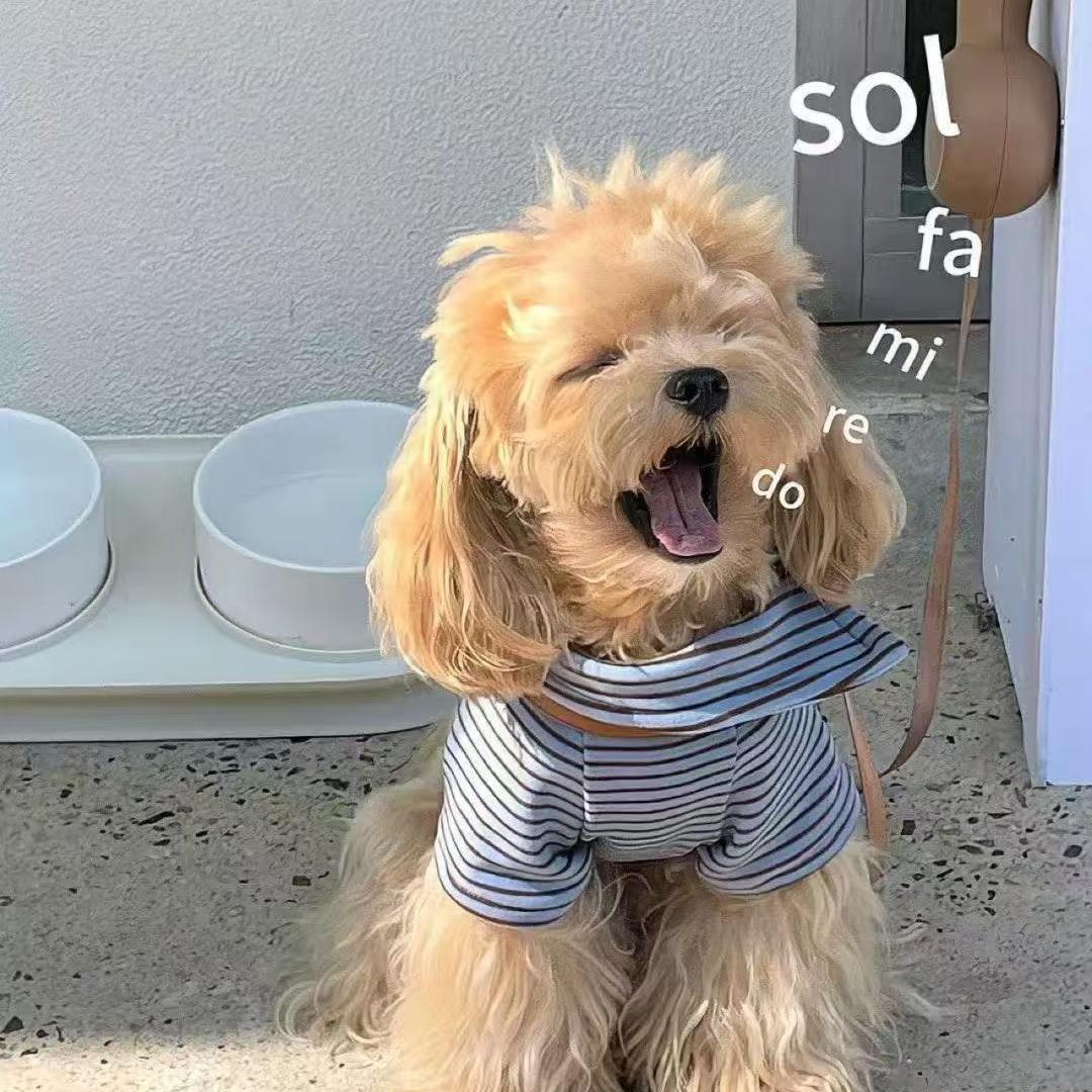 鱼丸~游戏【三角洲】