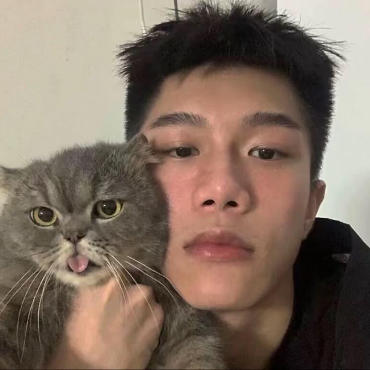 ㅤㅤㅤㅤ︉︋︍ㅤㅤ︉︋︍