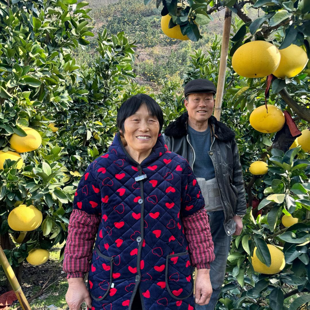 卓爸乡村生活（坚强卓君）