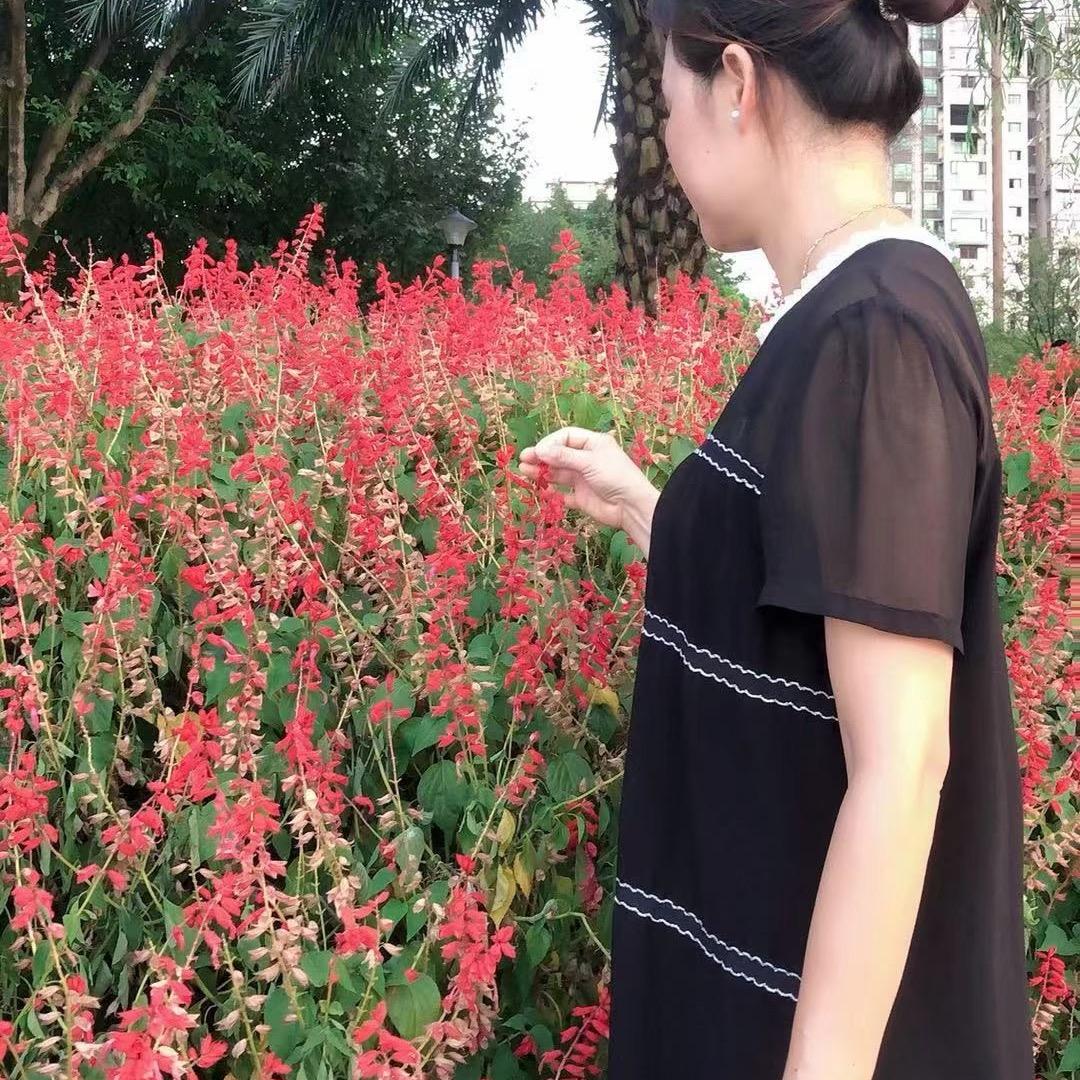 谢sx