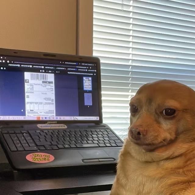 禾德只惹