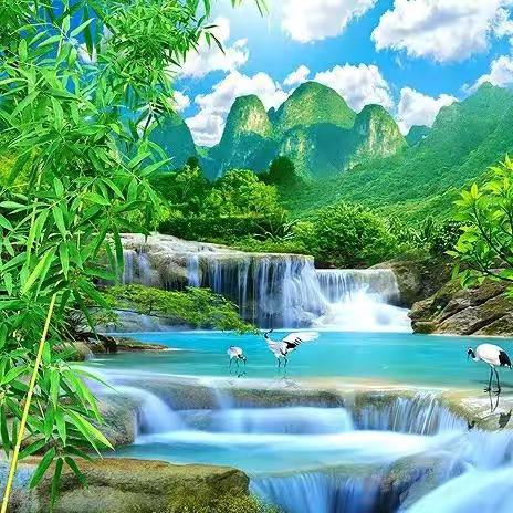 远志老师聊肠胃
