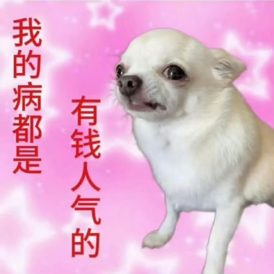 跑快快