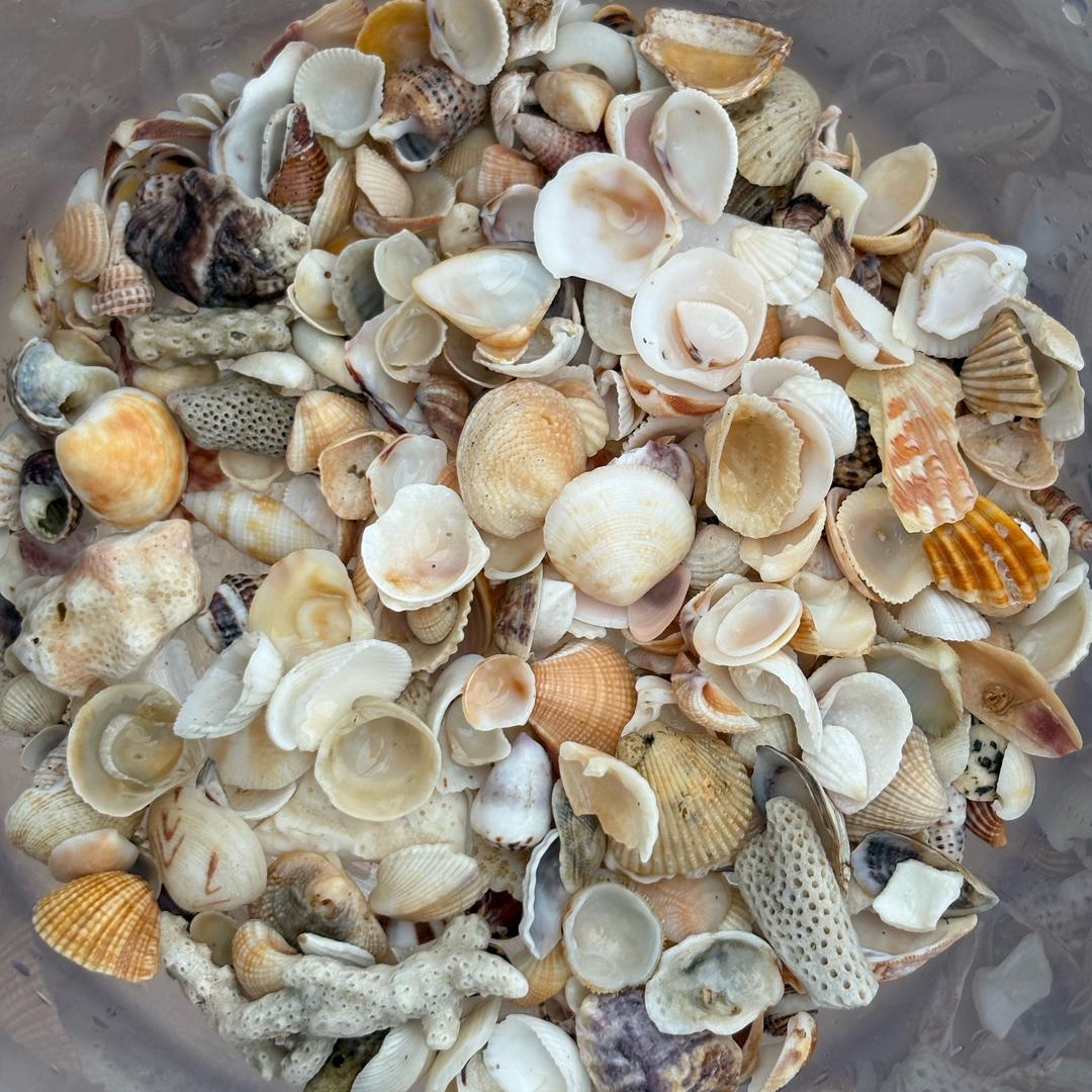 虫虫湘