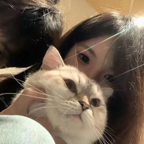 眼泪煲稀饭