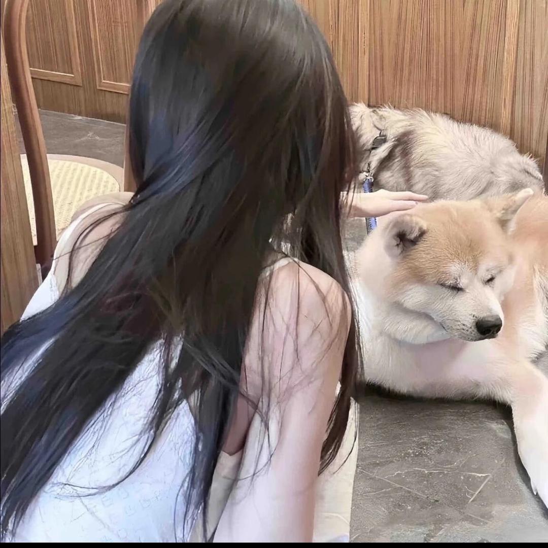 伟大的阿波罗