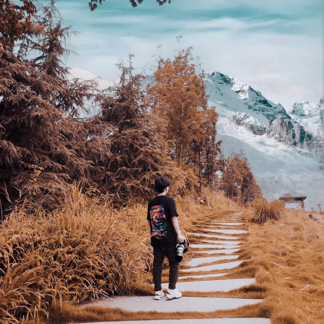 虫一旅行记