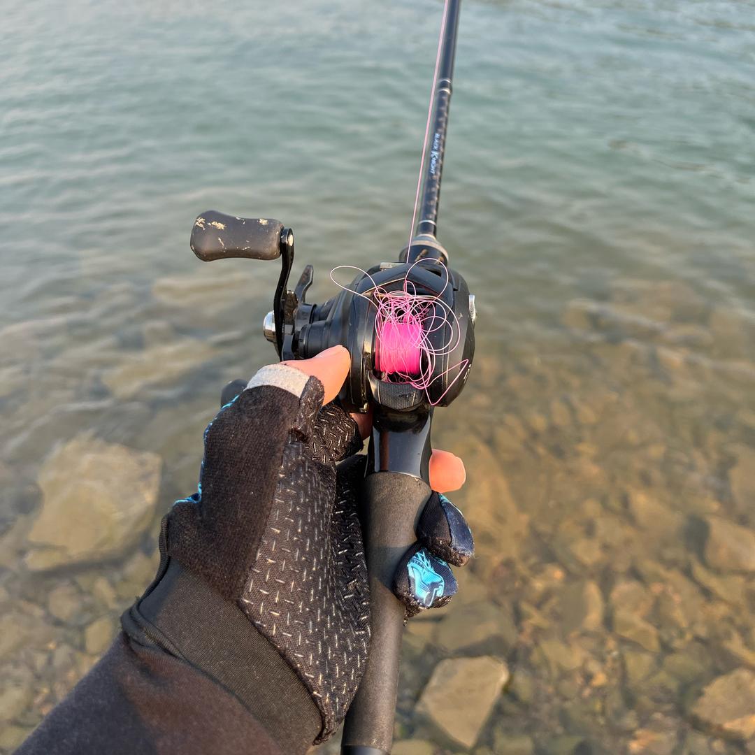 锋🎣Lure