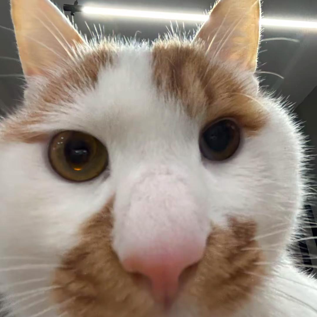 Jaxsonrey
