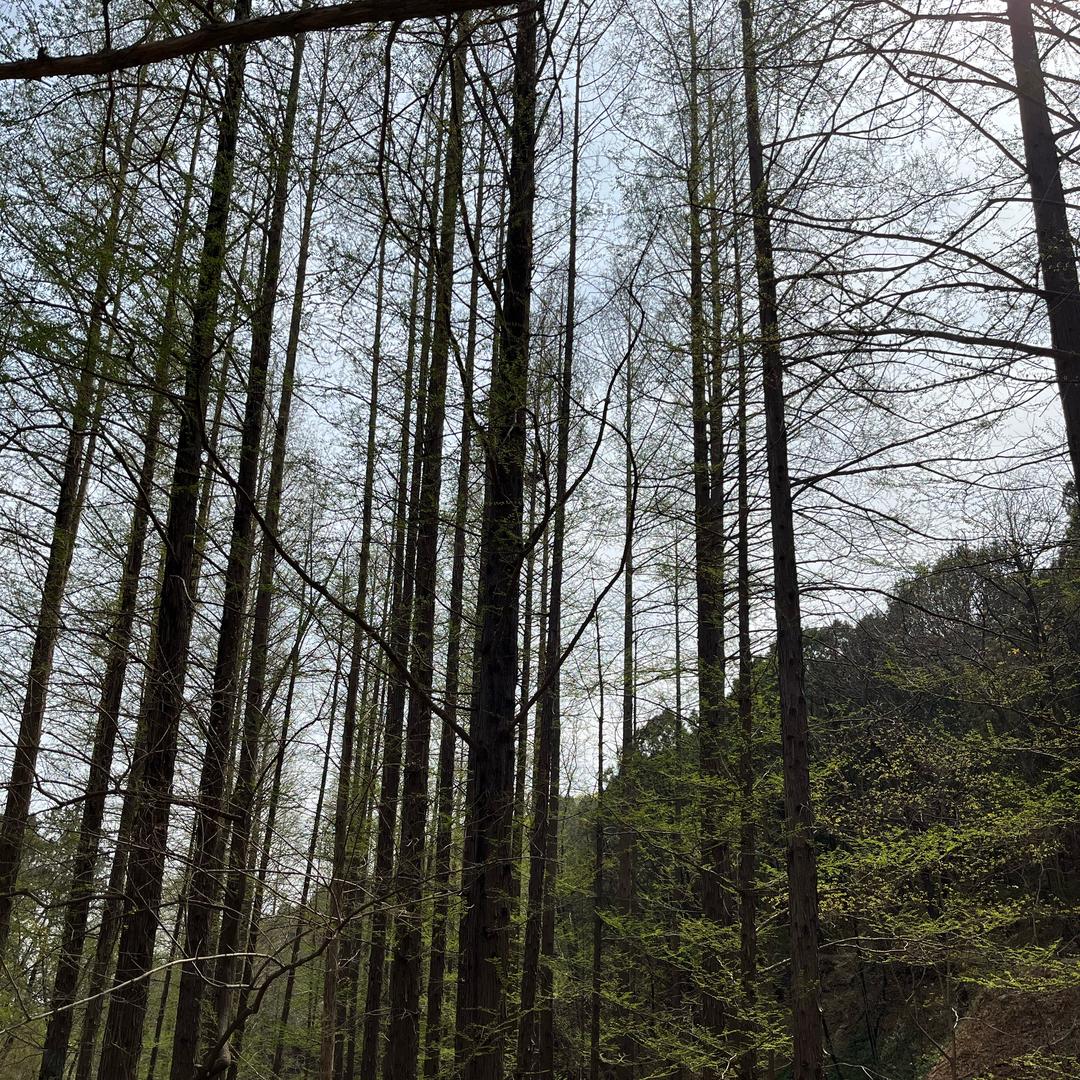 专注一件事