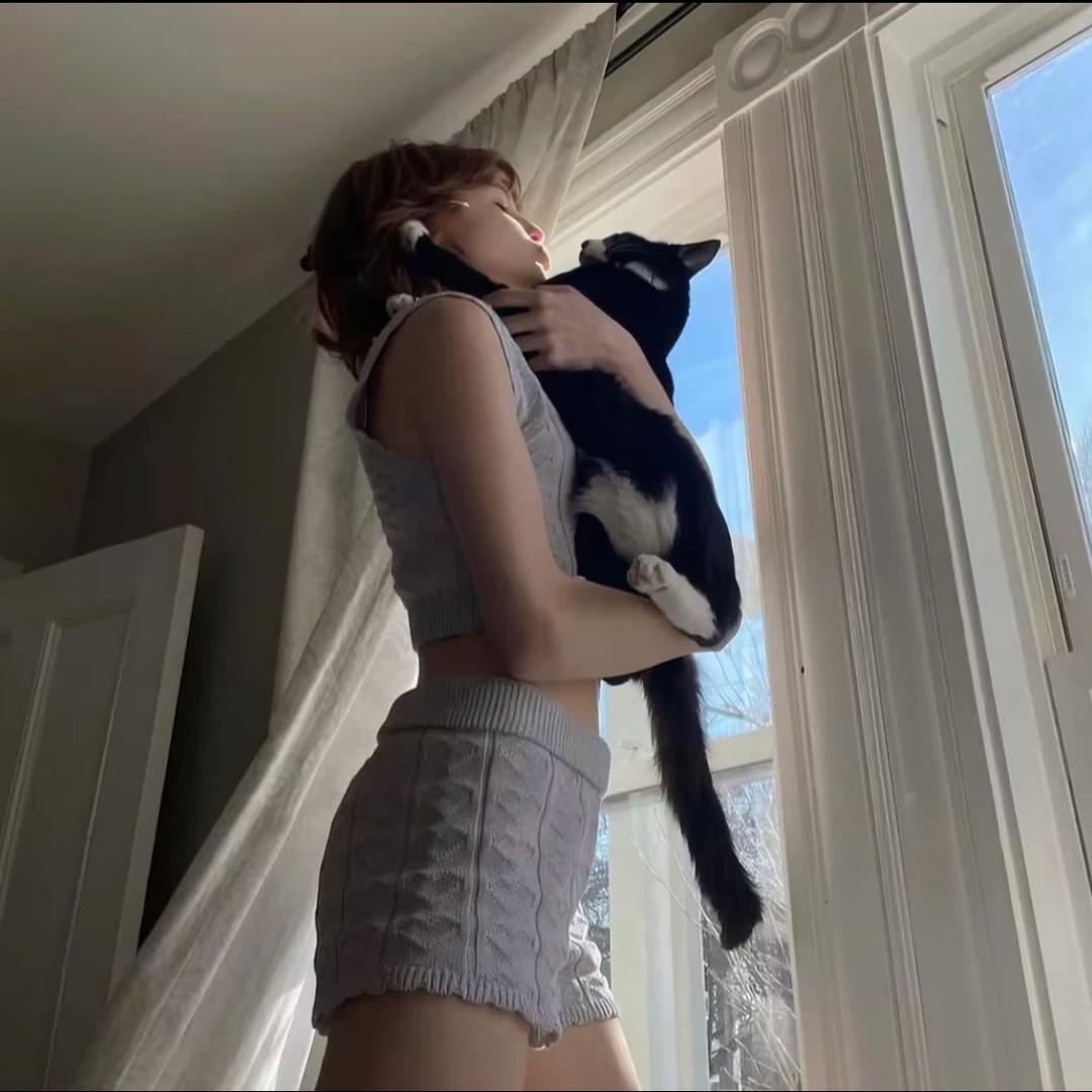 猫南北_