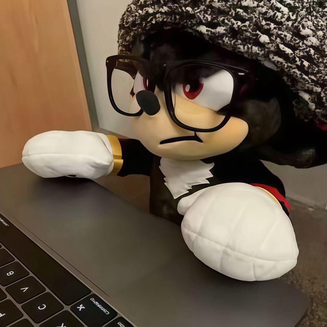 胖胖