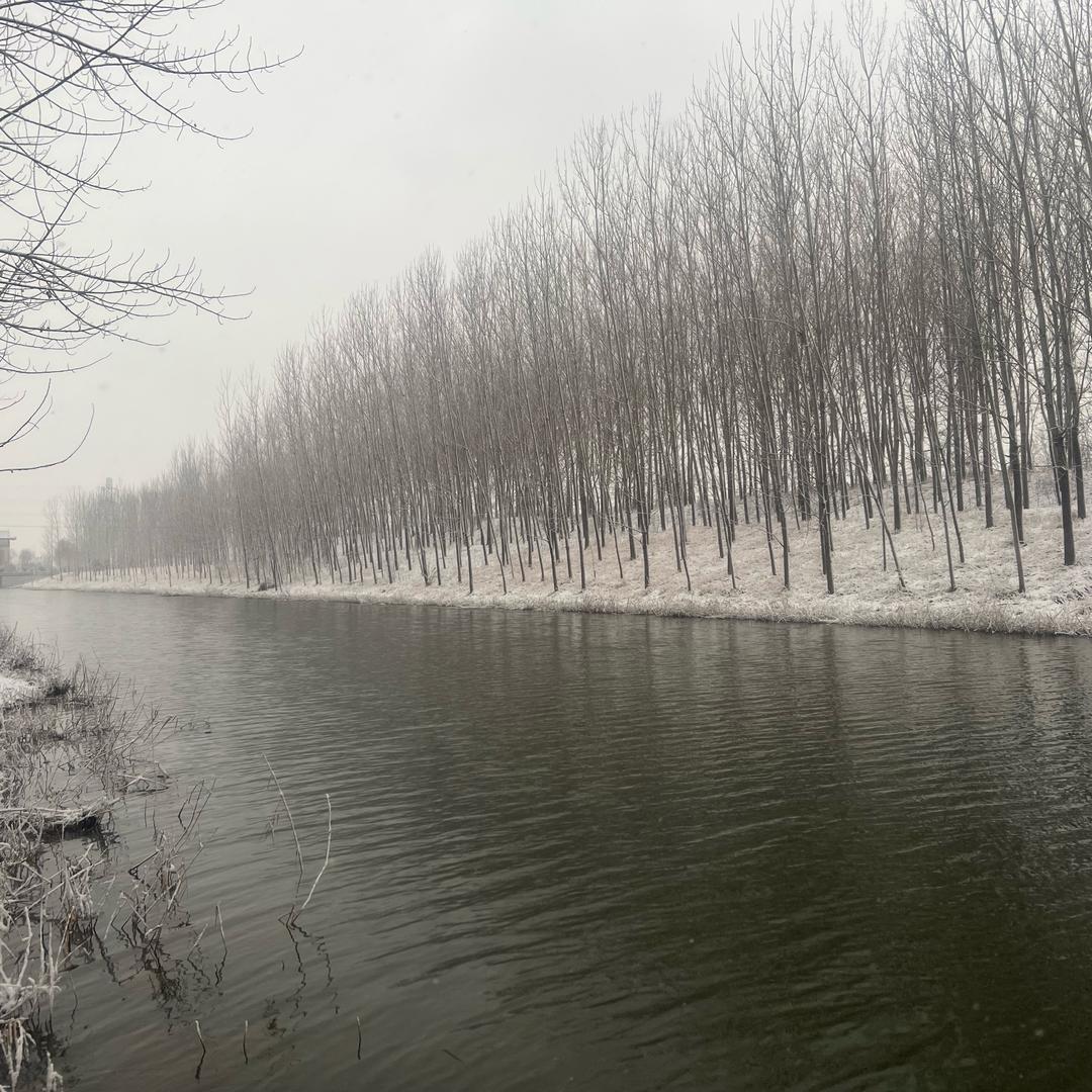 陈小葱生活记