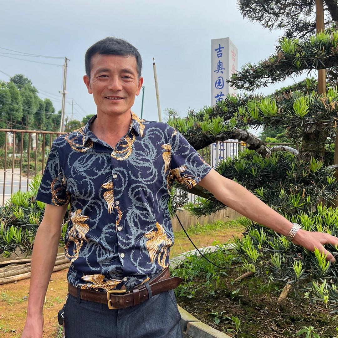 老康说苗木