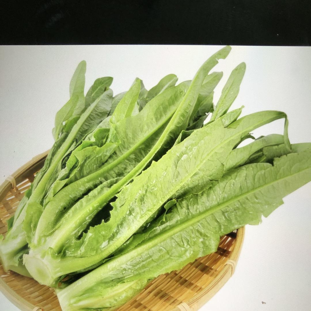 嵩明诺言蔬菜种植园