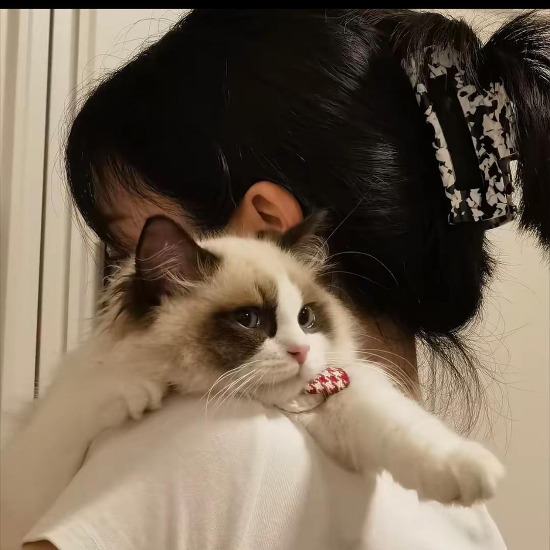 毛豆麻麻的日记