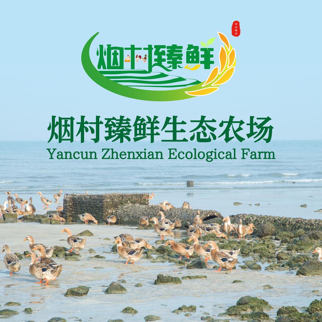 烟村臻鲜生态农场