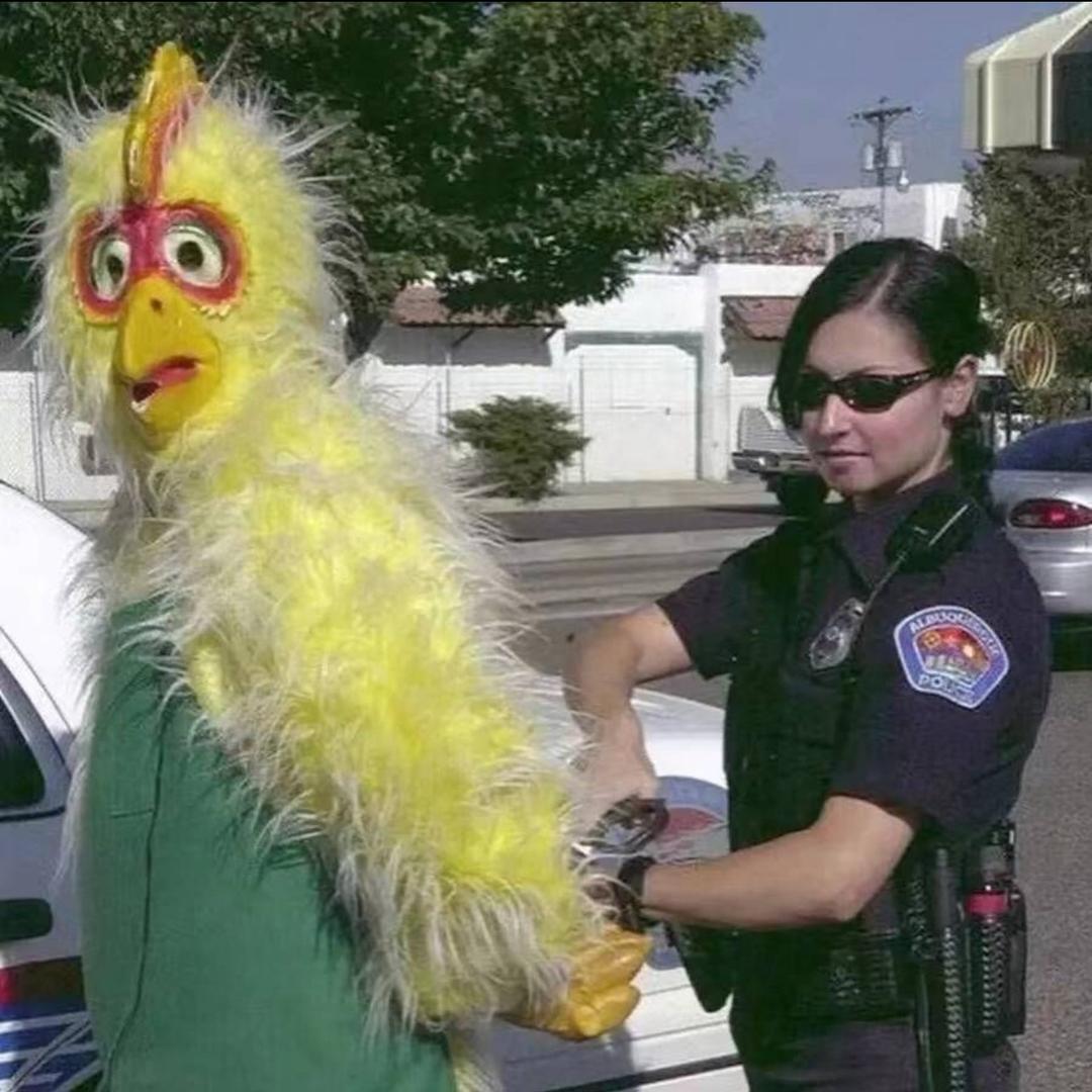 卡戴裳