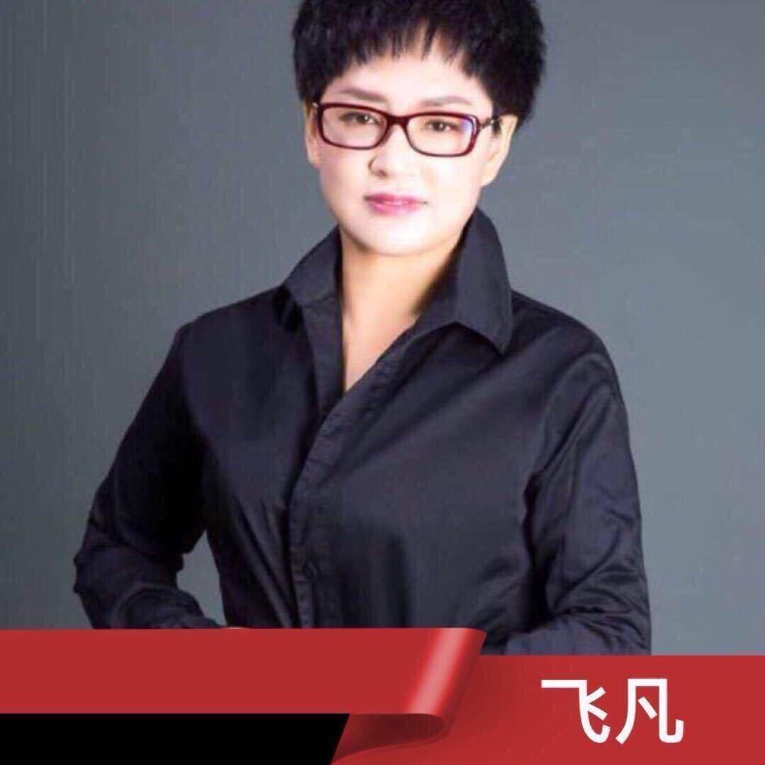 飞凡