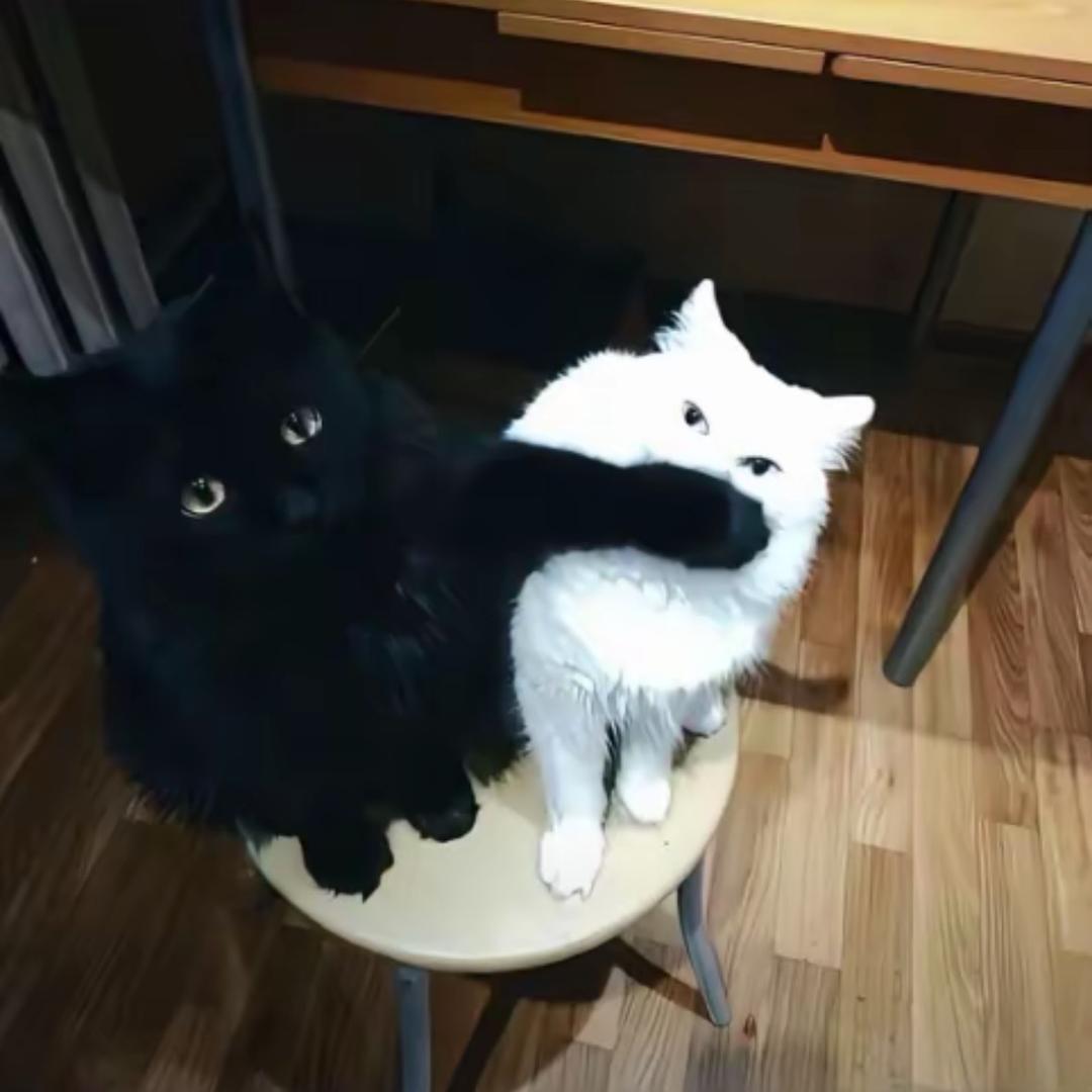 睡在浙江街头的忧郁流浪汉