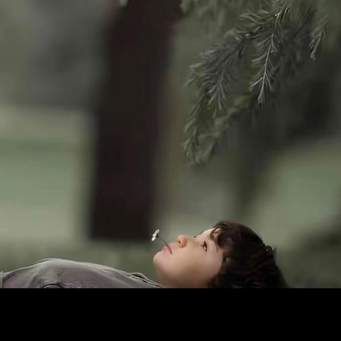 摆烂