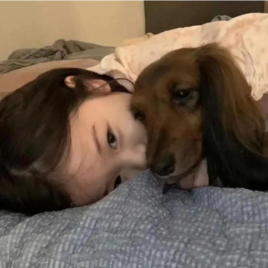 呆呆小羊咩