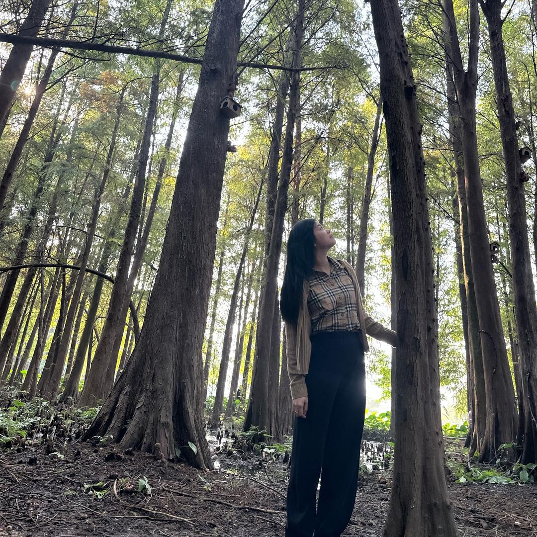 ♥️明珠天韵明珠新城张张