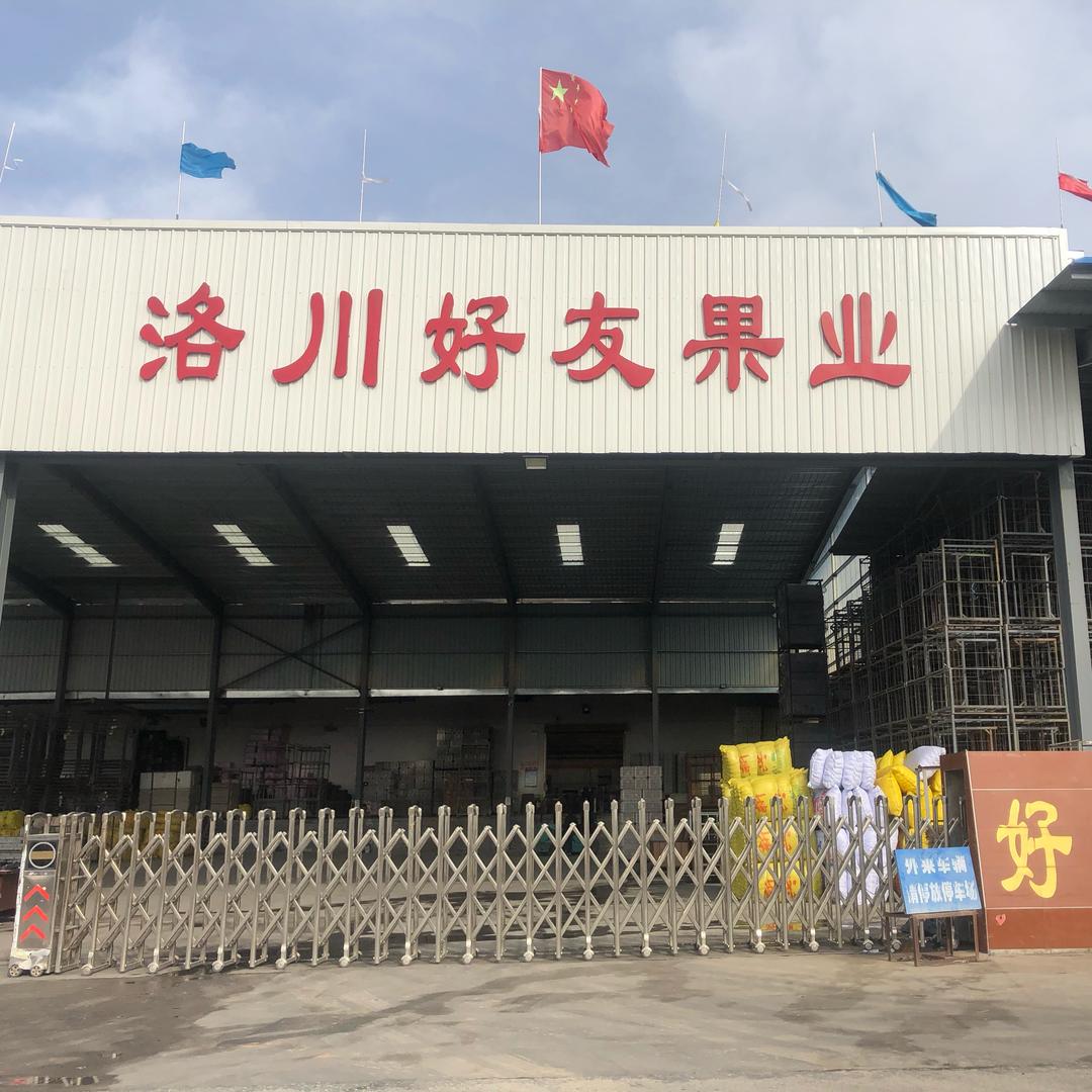 洛川好友果业