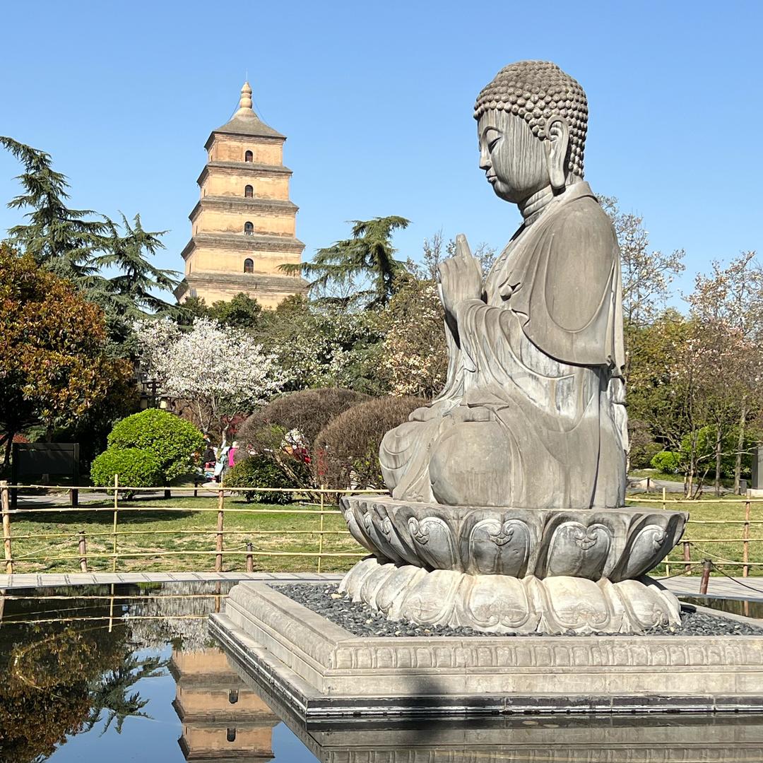 大鹏逛长安(西安旅游)