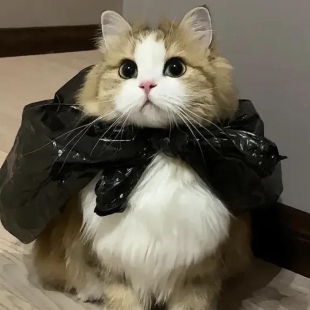 惠惠精品店