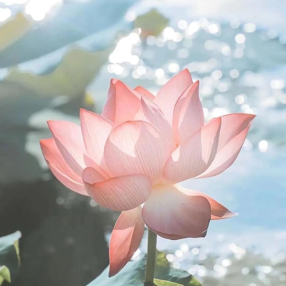 ¹⁹₉₅罗℘࿐