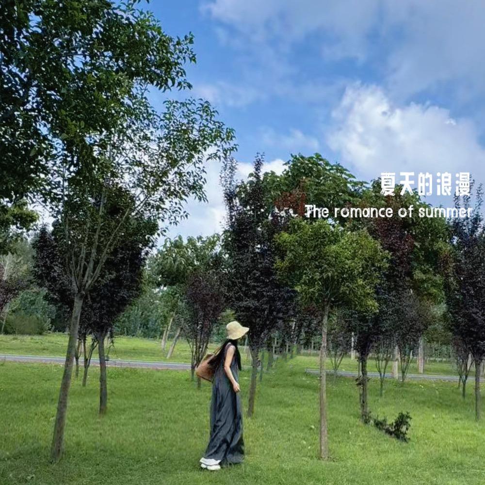 莫名其妙发个财
