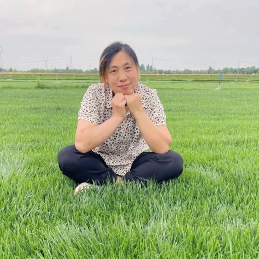 草坪姐姐Chen