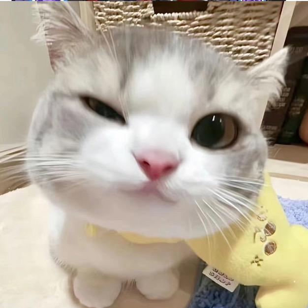 海洋-