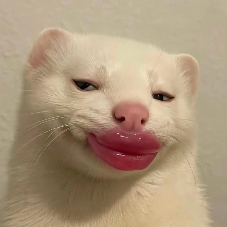 有钱的富婆，
