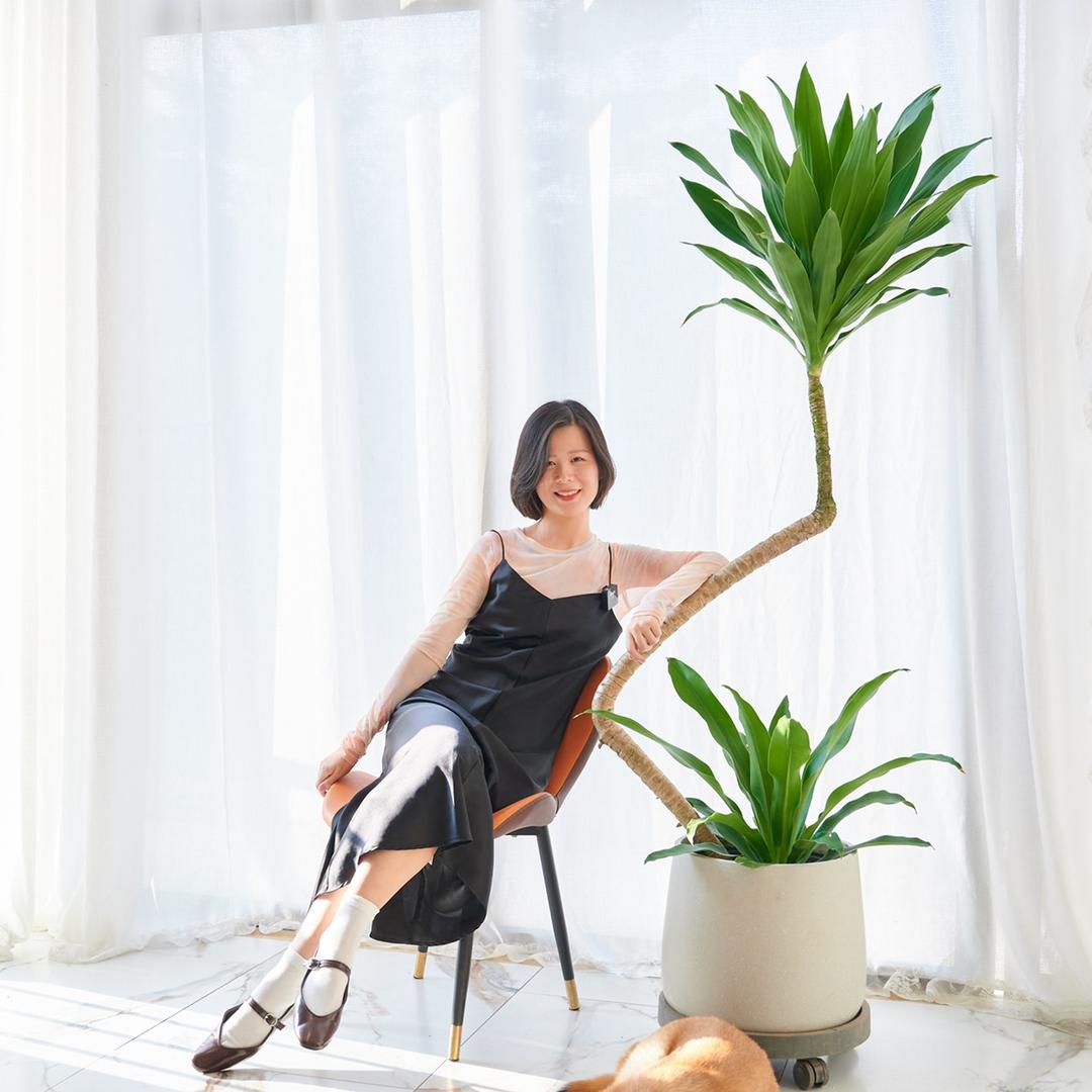 麦田绿植基地