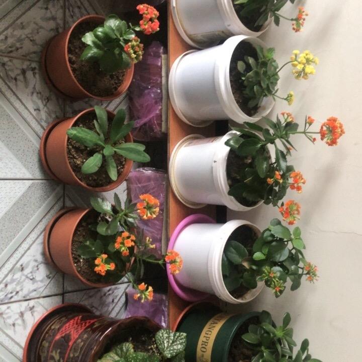 用户星期天