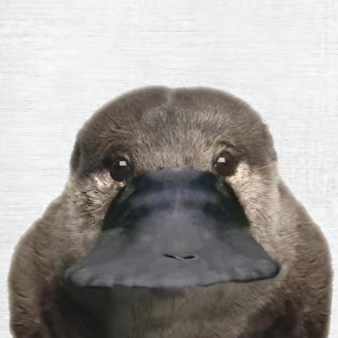 托比昂