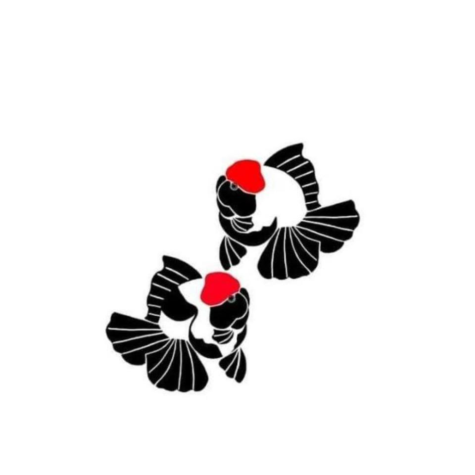 鱼源金鱼