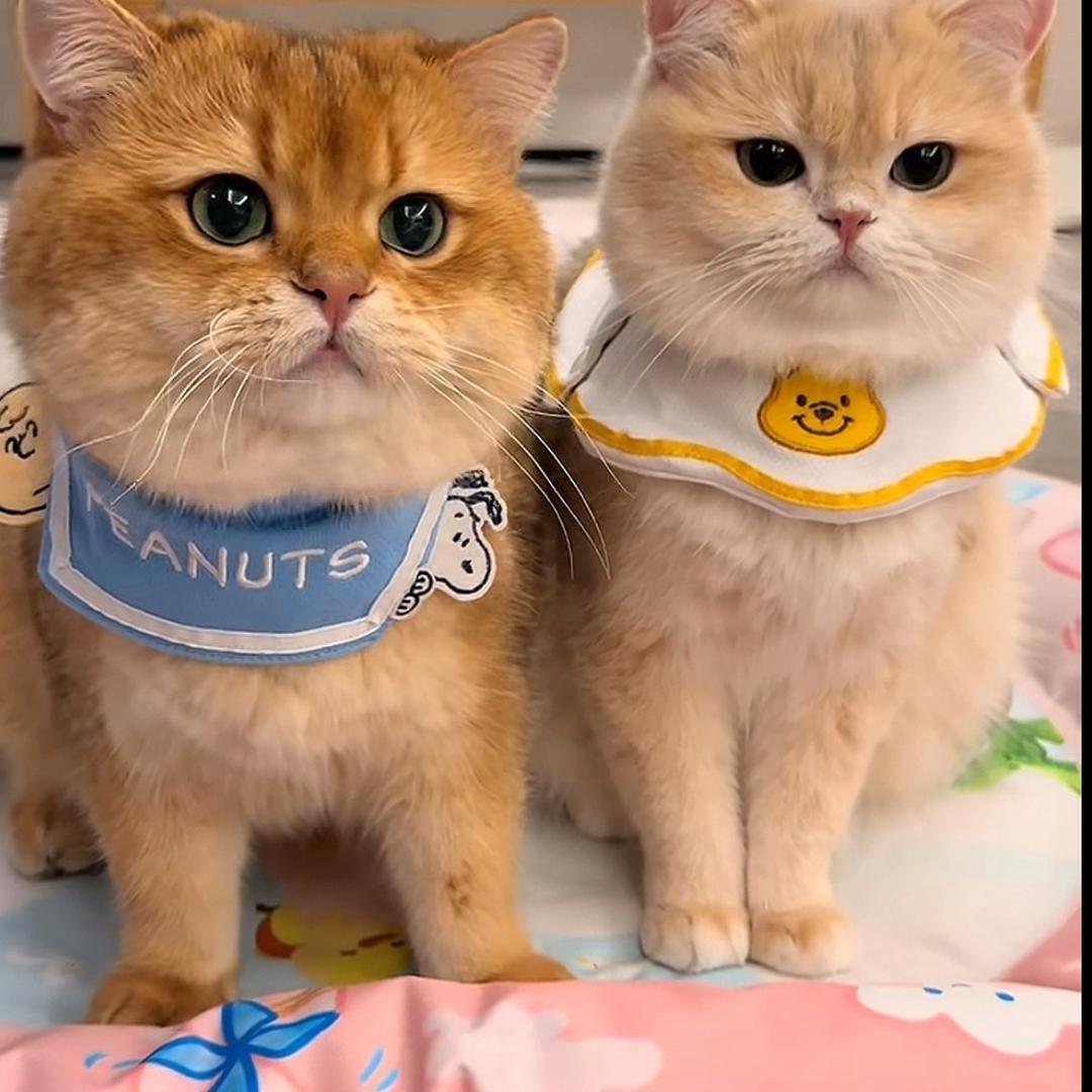 ？