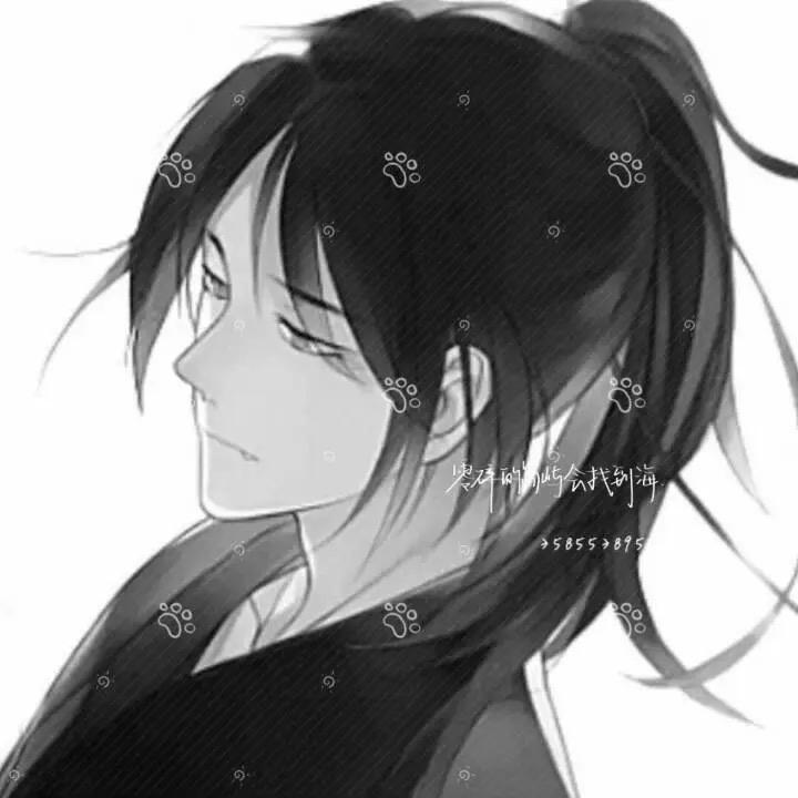 枝桠上的黑鸦.