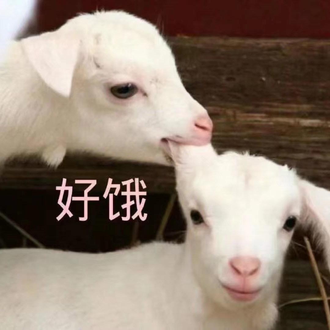 小王子