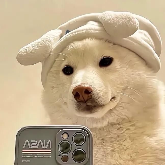 精选好物